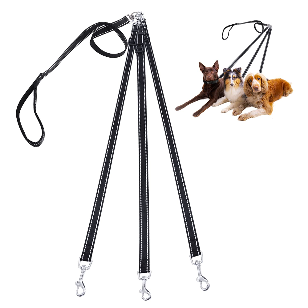 Durable 3-in-1 Nylon Dog Leash - مراجعة Outdoor Camping Carpet وسعره