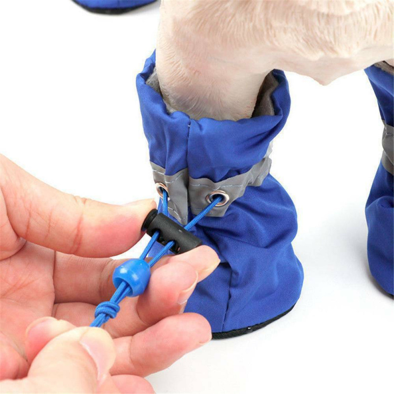 4PCS Small Dog Shoes Hiking Bo - مراجعة Outdoor Camping Slippers وسعره