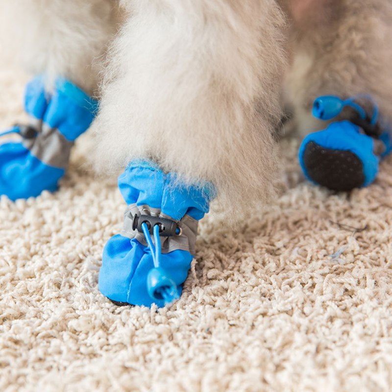 4PCS Small Dog Shoes Hiking Bo - مراجعة Outdoor Camping Slippers وسعره